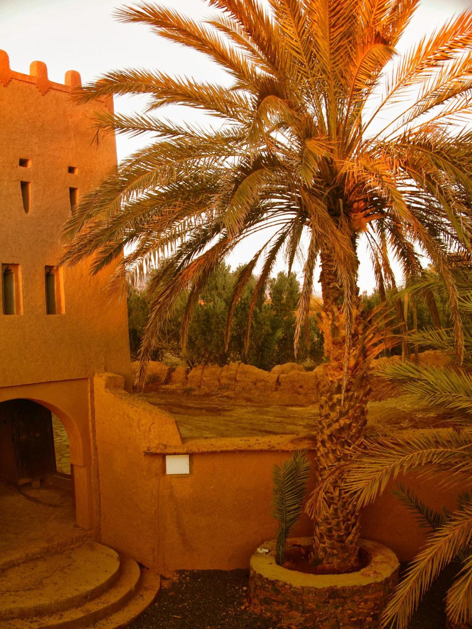 Villa Boujouf Tighmert المظهر الخارجي الصورة
