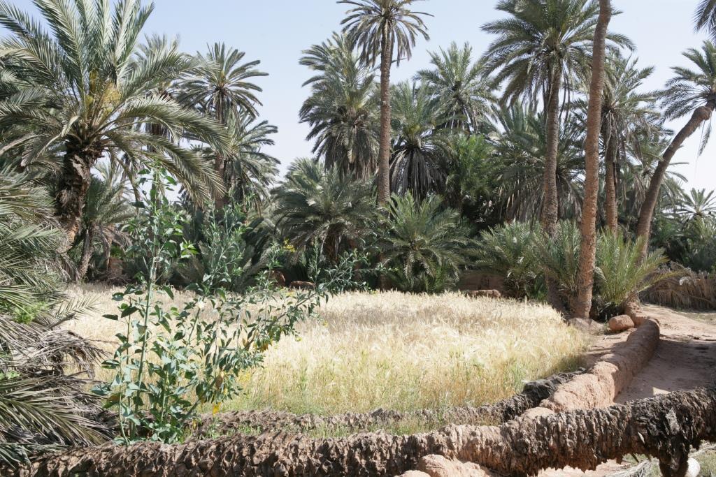 Villa Boujouf Tighmert المظهر الخارجي الصورة